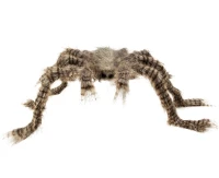Garland Spider / Pumpkin
