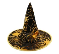Witch hat with a golden spiderweb, one size