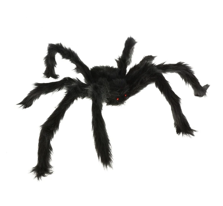 Large spider, 60 cm