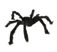 Large spider, 60 cm