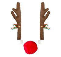 Car deco, antler and nose