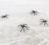 Spider Web, white, 20g
