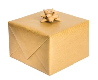 POLMAK  Decorative kraft paper gold