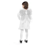Angel wings, brocade
