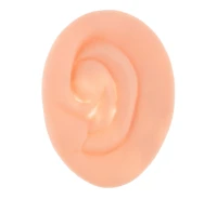 The President''s Ear - 1 item EOL