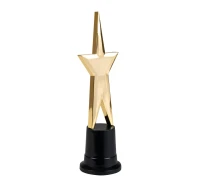 Reward star