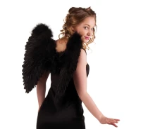 Angel's wings, black, 50x50cm