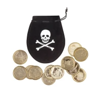 Pirate's purse with 12 coins