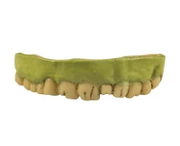 Zombie teeth