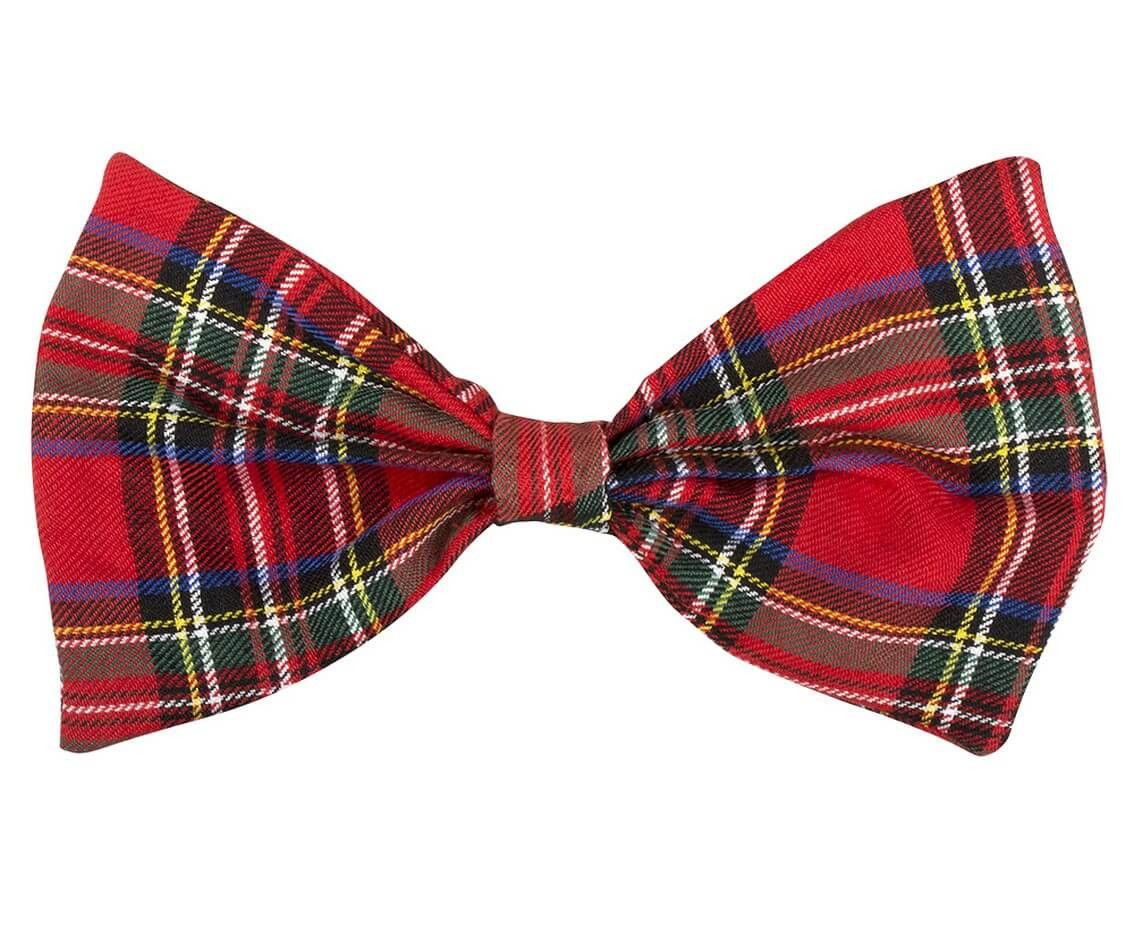 Nerd Kit (glasses, bow-tie, braces)