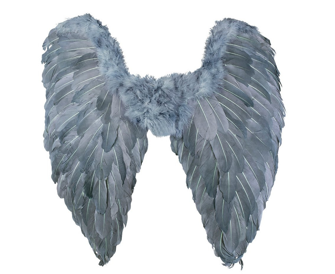 Angel wings with feathers, blue