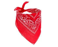 Cowboy bandana