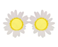 Daisies glasses