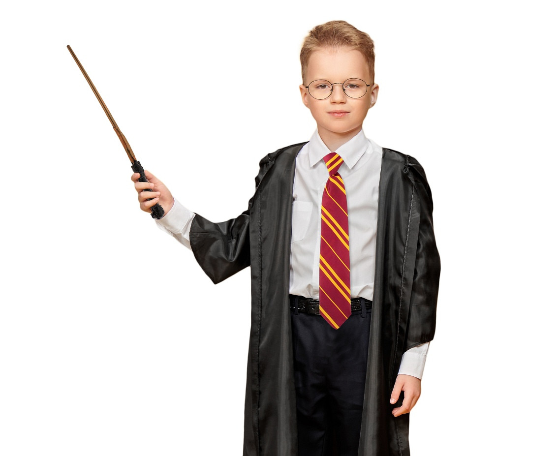 Magic wand Wizard, 44 cm