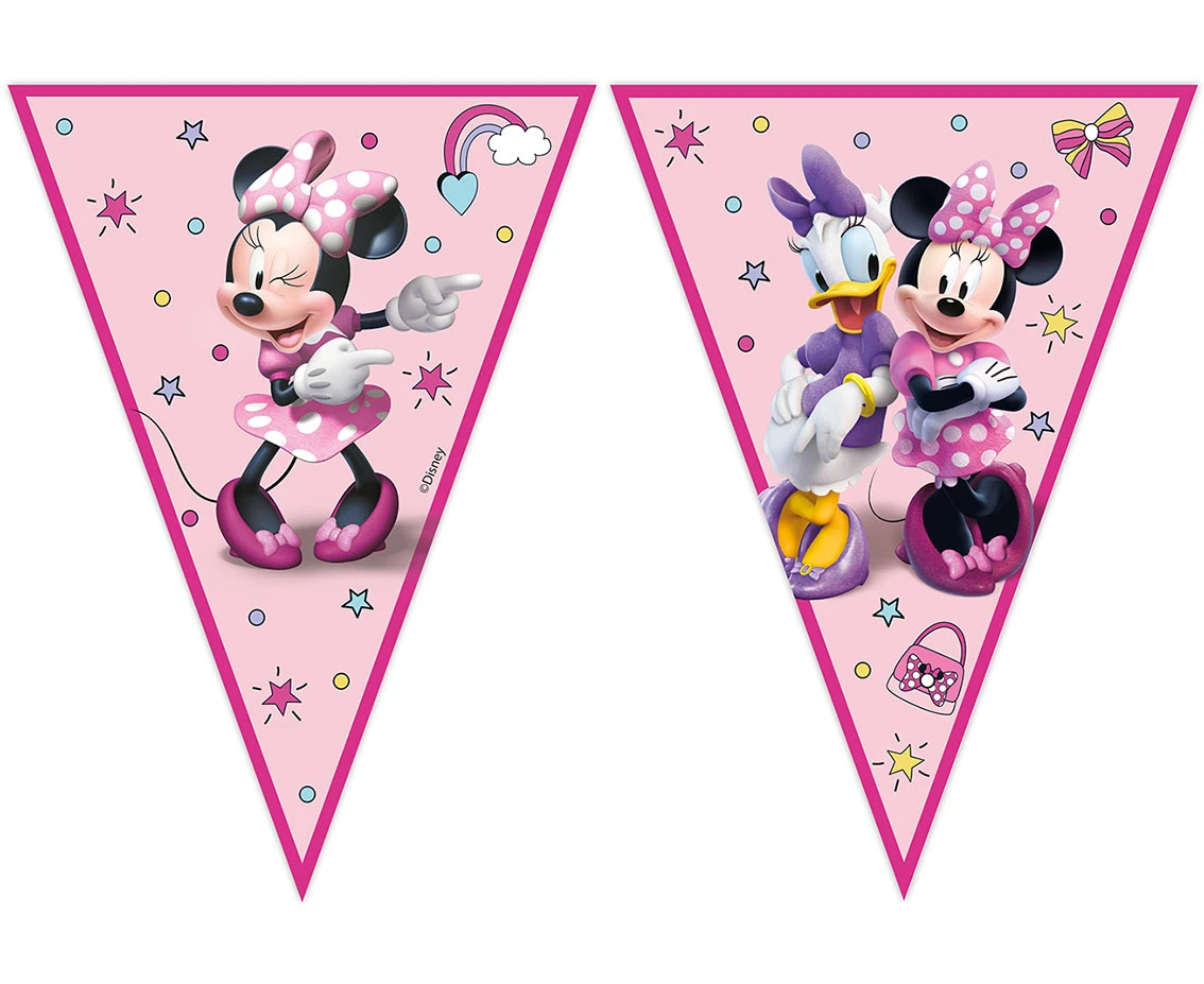 Banner Minnie Junior, flags EOL