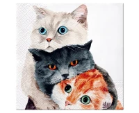 PAW Paper napkins Better Together 33 x 33 cm, 20 pcs