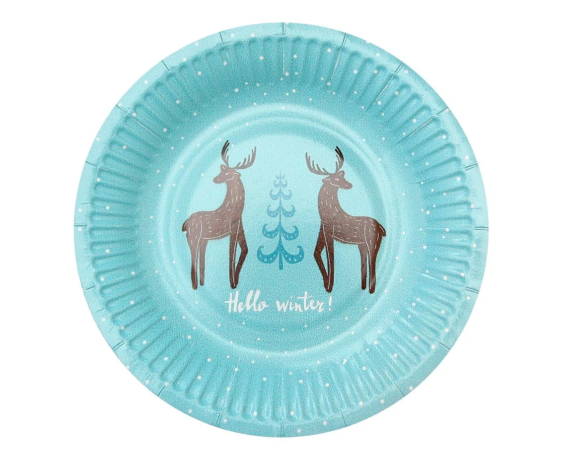 Paper plates Hello Winter, light blue, 18 cm/ 6 pcs. EOL