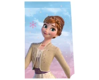 Paper bags Frozen 2: Wind Spirit, 4 pcs. EOL
