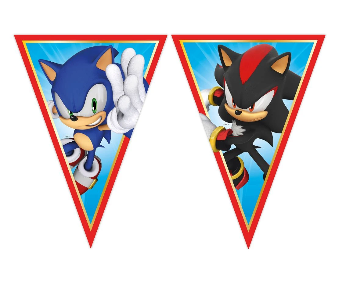 Banner Sonic, flags