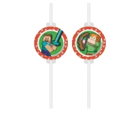 Medallion paper drinking straws Minecraft 4 pcs.