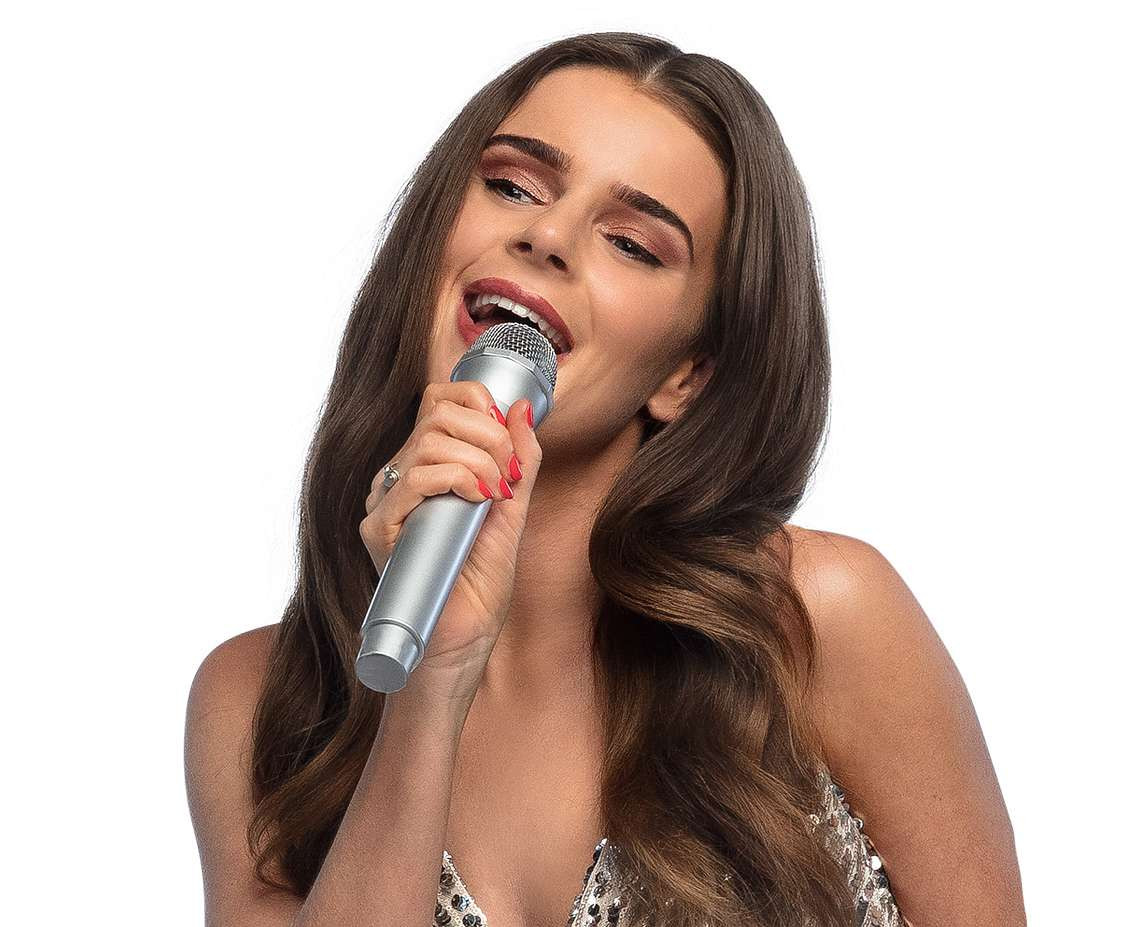 Microphone silver (23.5 cm)