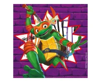 Paper napkins Teenage Mutant Ninja Turtle Nickelodeon, 33x33 cm, 20 pcs (paper FSC) EOL