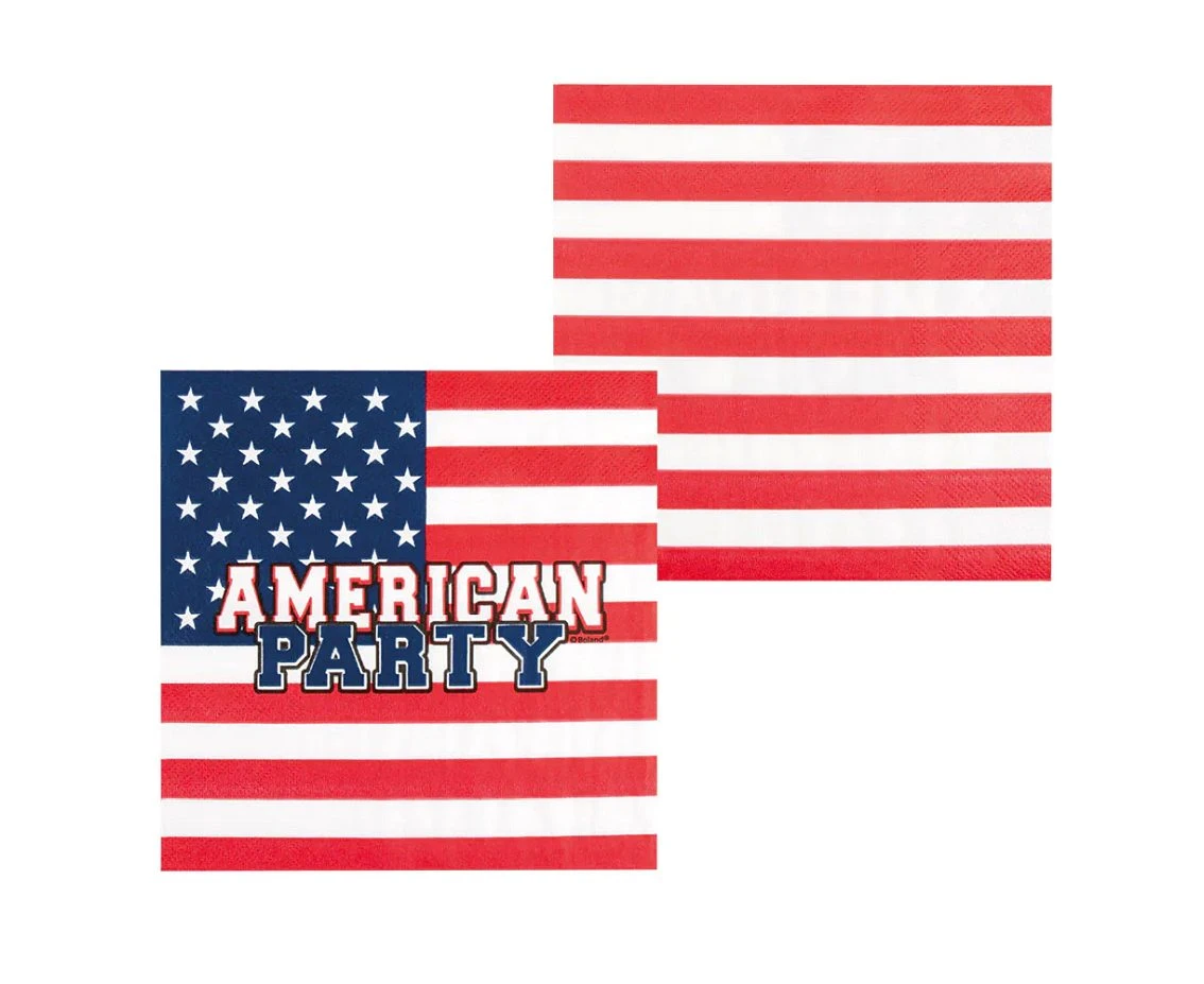 Paper napkins American Party, 33 x 33 cm, 20 pcs