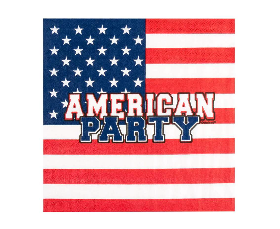 Paper napkins American Party, 33 x 33 cm, 20 pcs