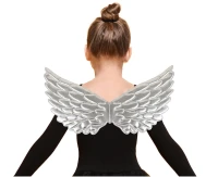 Silver wings (45,3 x 21 cm)