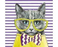 Greeting card KW Cat,  1 pc