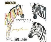 Greeting card KW Zebra, 1 pc