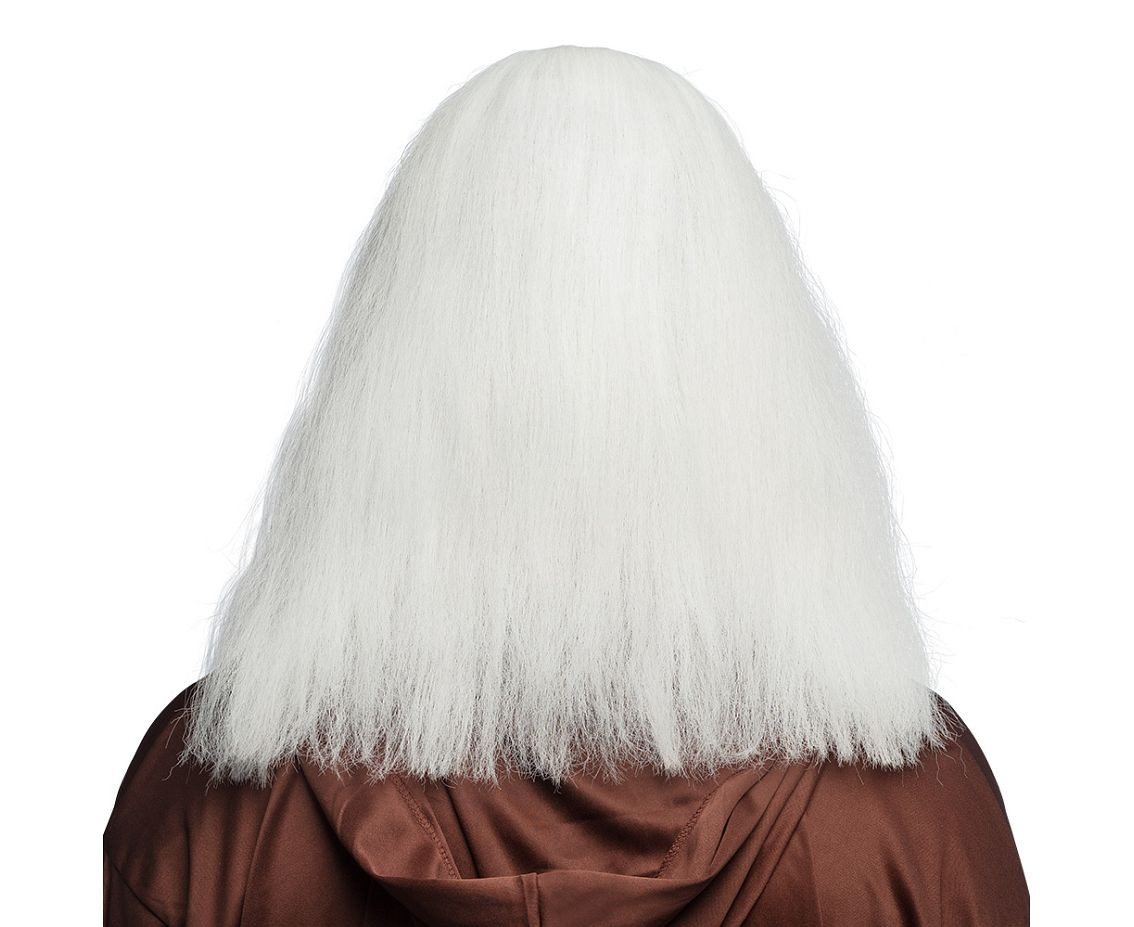 Wig Wise man