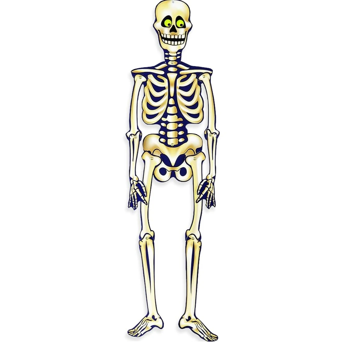 Skeleton jointed Halloween