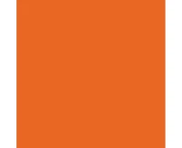 POLMAK Paper napkins Orange, 20 pcs.