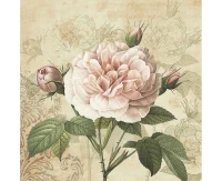 POLMAK Paper napkins Vintage Rose with Buds, 20 pcs.