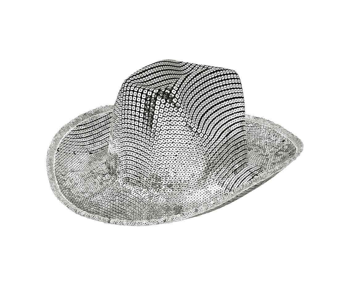 Hat  Groovy silver