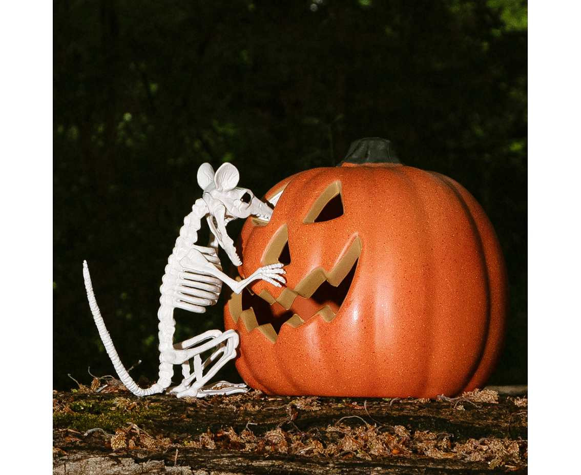 Light-up pumpkin (20cm)