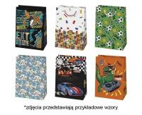 POLMAK Gift bag 230x320x110, Children''s - Boy
