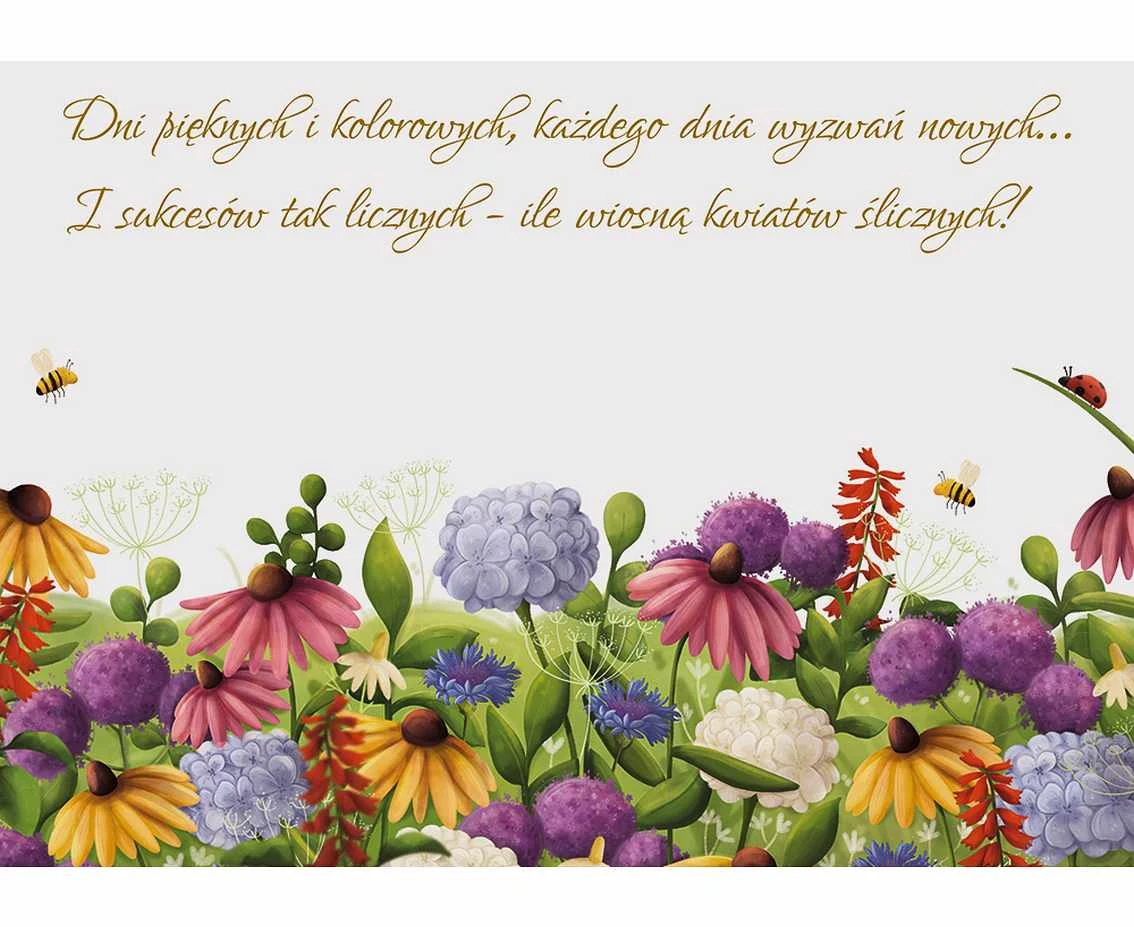 Greeting Card Card A5 BUNCH COLOR, 1 pc.