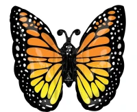 Foil balloon helium XL Monarch butterfly glow EOL