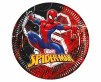 Spiderman World of Web Paper Plates, 23cm, 8 pcs.
