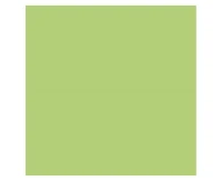 POLMAK paper napkins green tissue paper 33 x 33 cm, 20 pcs,