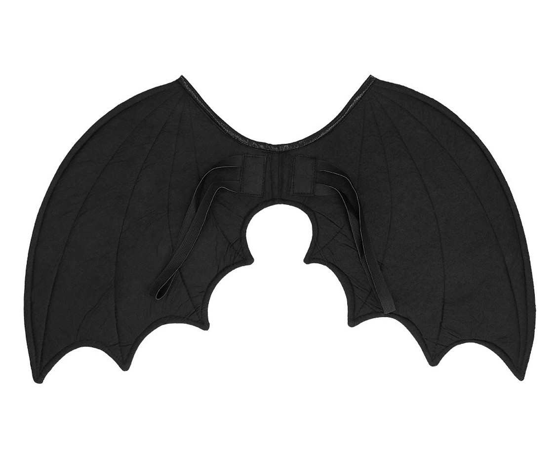 Wings bat Lyra (61 x 37 cm)