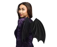 Wings bat Lyra (61 x 37 cm)