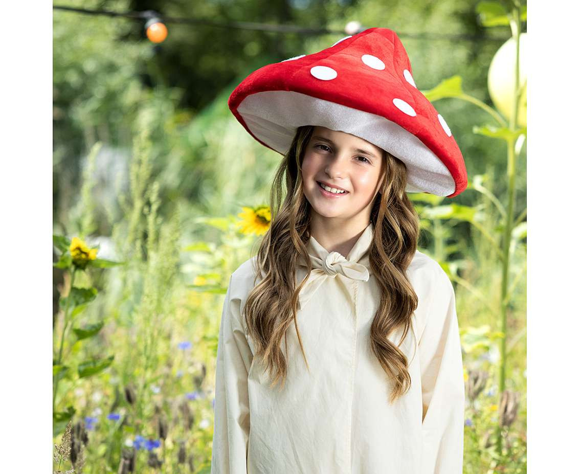Hat Mushroom