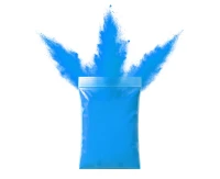 Blue Holi Powder (70g)