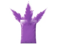 Purple Holi Powder (70g)