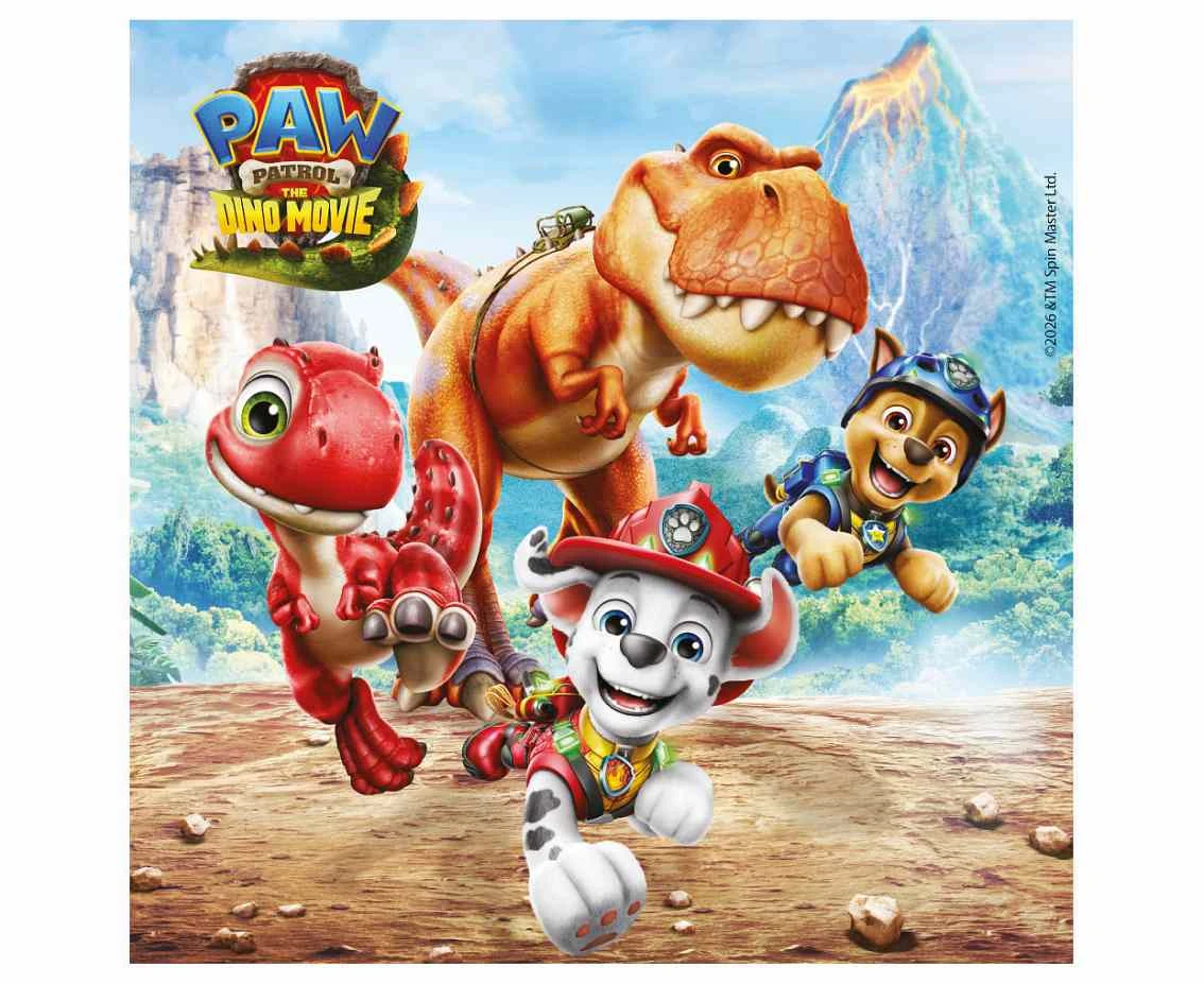 Paper napkins Paw Patrol, 33x33 cm, 20 pcs. (FSC)
