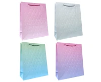 JUPITER Bottle Gift Bag A4 Pastel Ombre 26x32x10 mix, 1 pc.